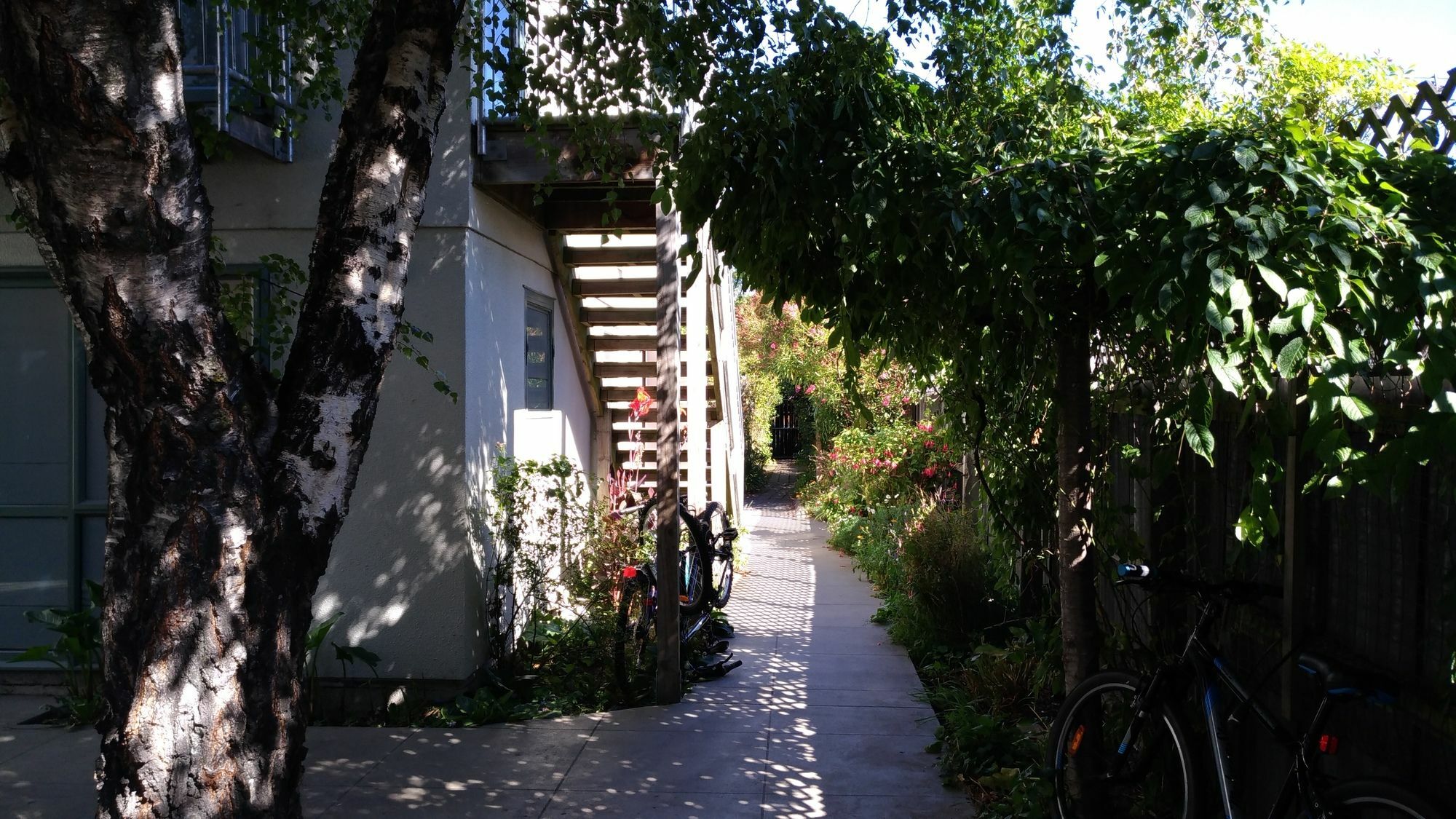 Kiwi House Hostel Christchurch Dış mekan fotoğraf